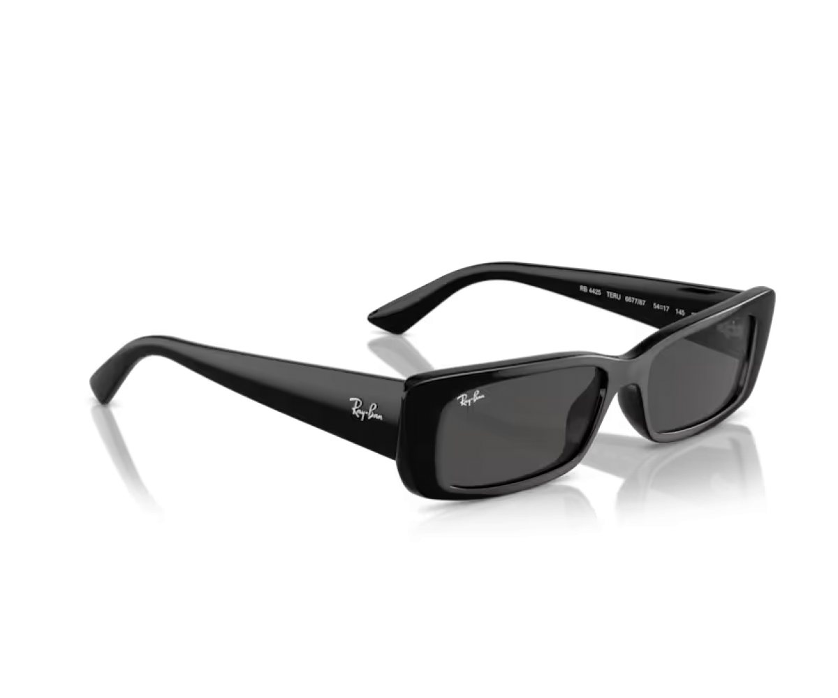 RAY BAN TERU RB4425/6677/87 54 RAY BAN TERU RB4425/6677/87 54